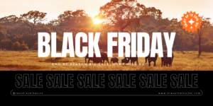 Blak friday banner